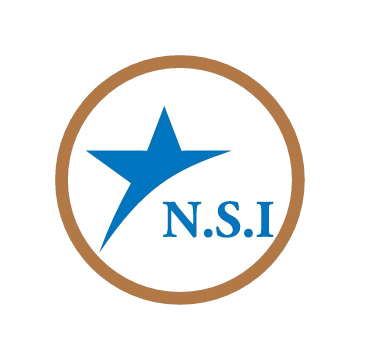 North Star Logo